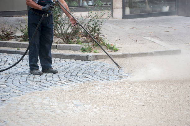 Best Roof Washing  in Cary, NC