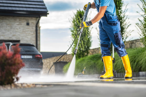 Best Soft Washing  in Cary, NC